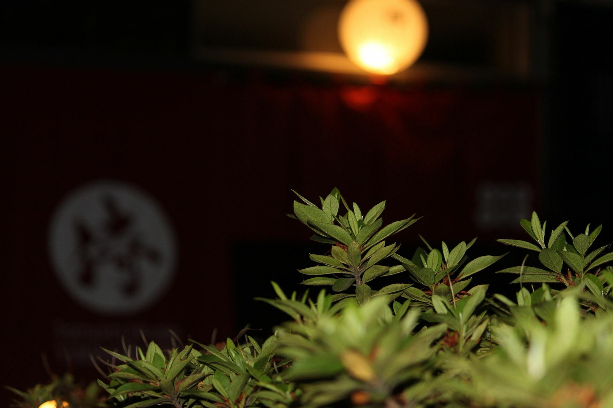 Samurai House Yukimura Hébergement de vacances *